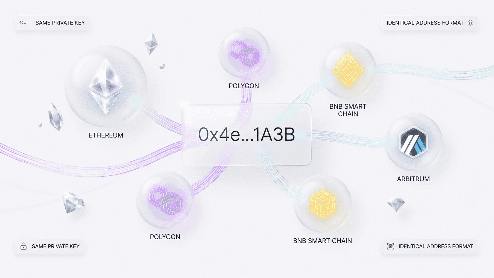 EVM Wallet Address