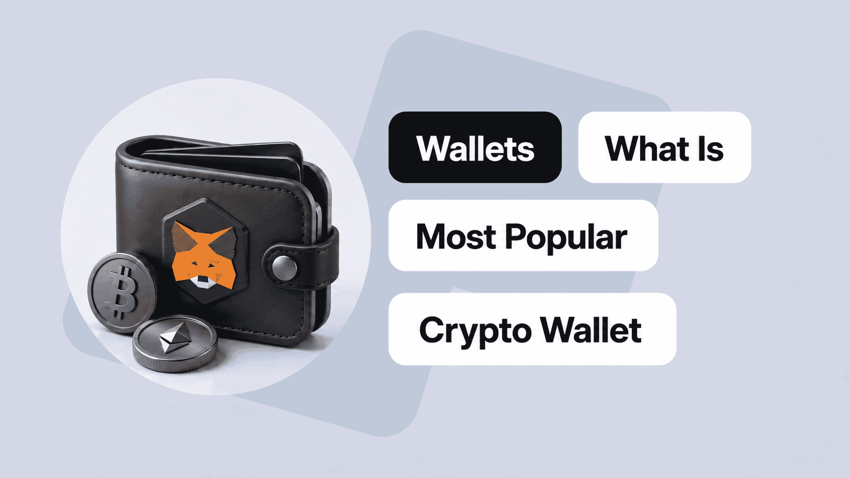 Most Popular Wallet