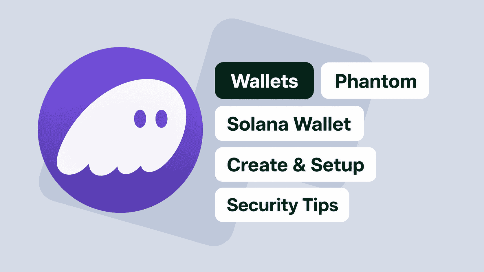 Solana Wallet