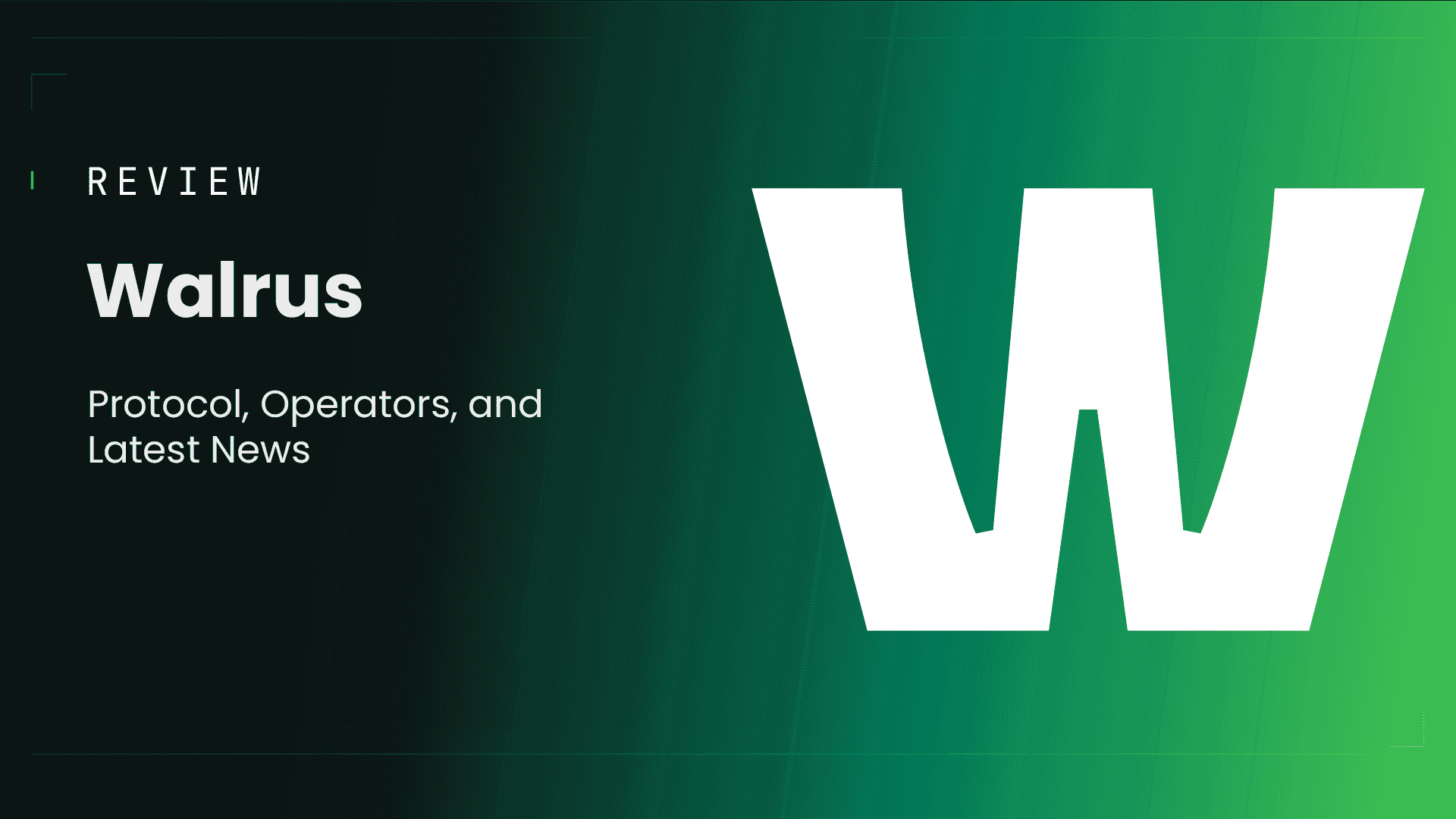 Walrus Crypto