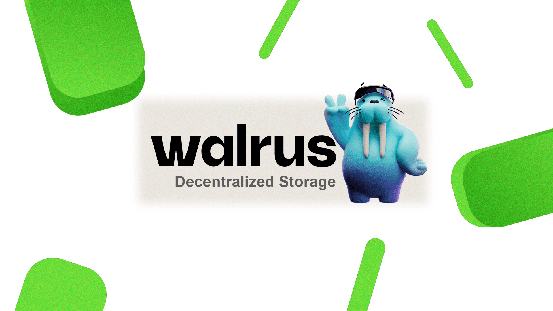 Walrus Crypto: Walrus Protocol, Walrus Operator and Latest Walrus News
