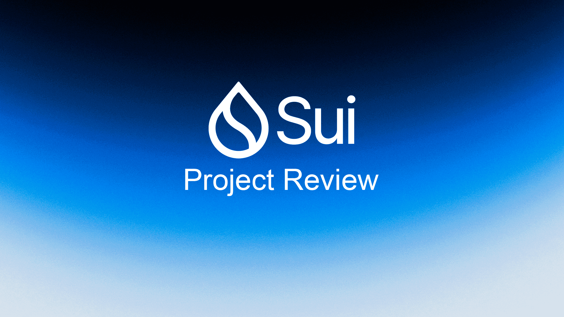 Sui Project Review: Ecosystem Analysis, Tokenomics, Sui Price & TVL Overview