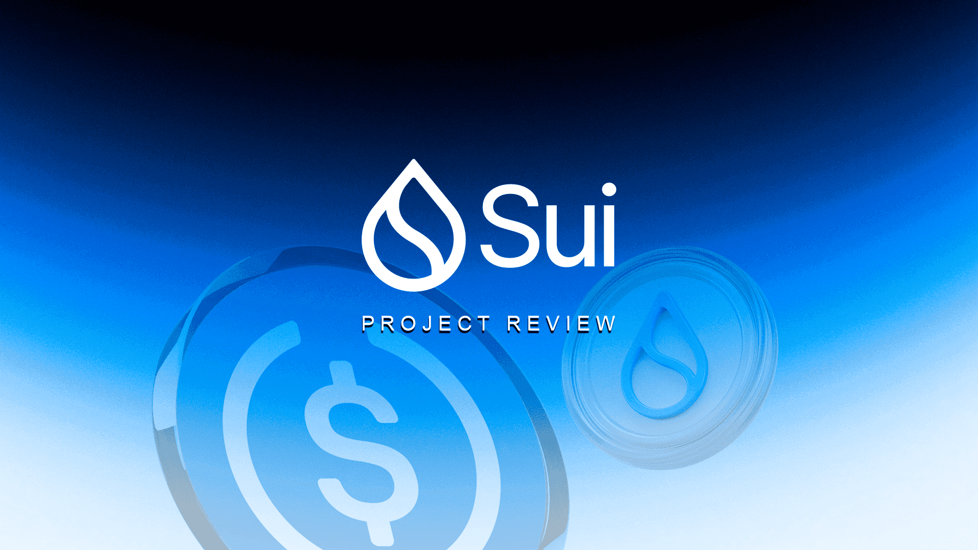 Sui Project Review: Ecosystem Analysis, Tokenomics, Sui Price & TVL Overview